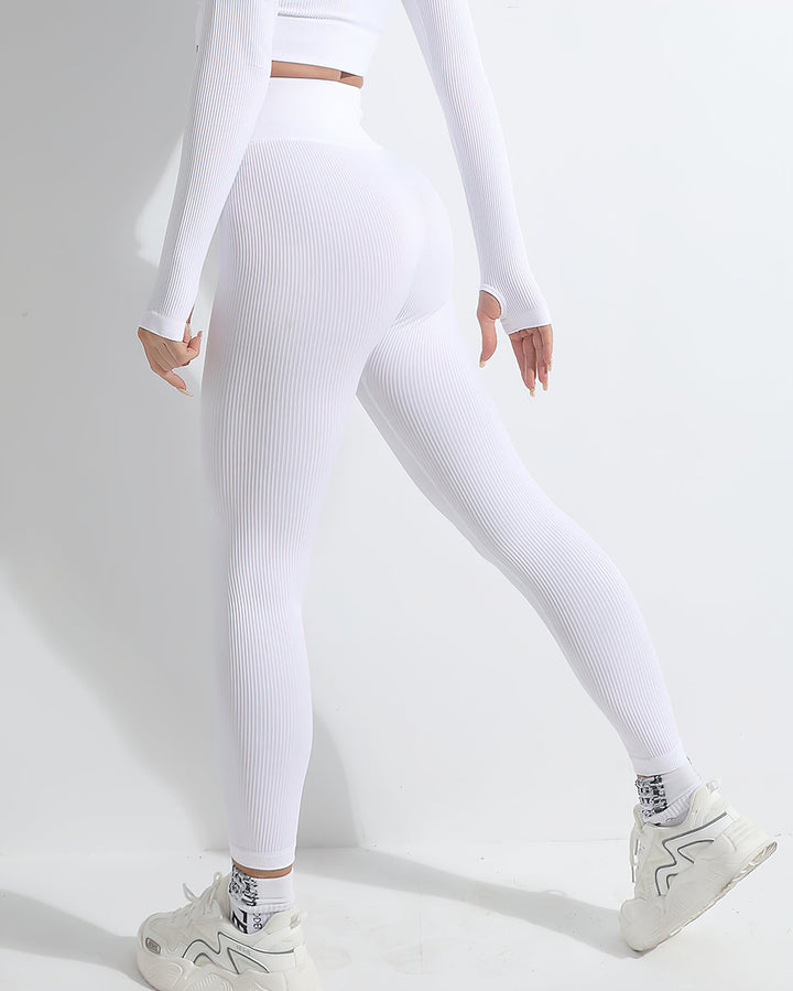 VELA | Ribbed Seamless Leggings